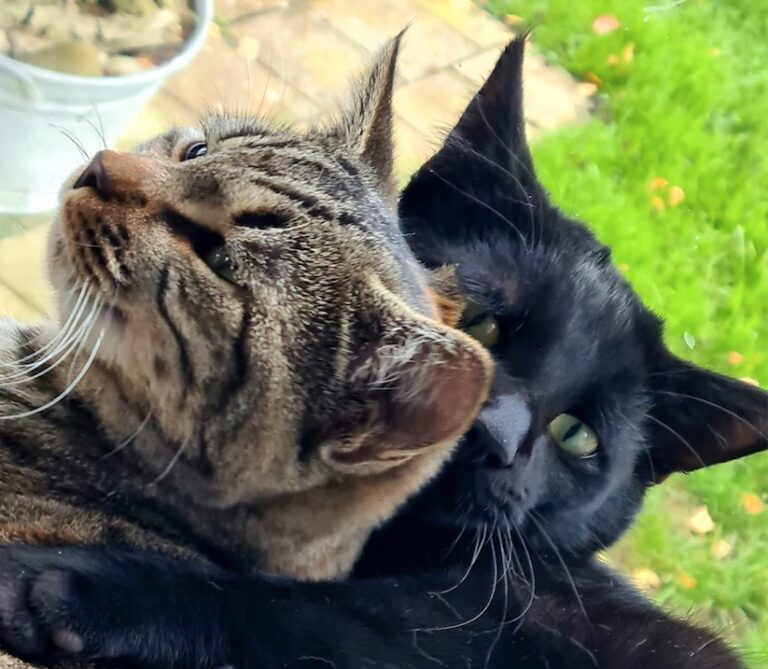 Herr Geisser und Asahi Sommer 25